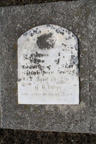 Click to view full size image