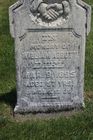 Filename=Abbott2C_Wi_28229.jpg
Filesize=101KiB
Dimensions=512x768
Date added=Aug 18, 2014 Abbott2C_Wi_28229.jpg