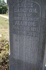 Allison2C_B_E___G.jpg