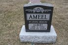 Ameel2C_Al.jpg