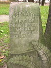 Filename=Arnold2C_Asenath.JPG
Filesize=135KiB
Dimensions=480x640
Date added=Jan 23, 2012 Arnold2C_Asenath.JPG