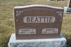 Filename=Beattie2C_H___M.jpg
Filesize=187KiB
Dimensions=1024x683
Date added=Mar 19, 2012 Beattie2C_H___M.jpg
