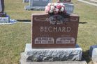 Filename=Bechard2CWil.jpg
Filesize=196KiB
Dimensions=1024x683
Date added=Jun 11, 2014 Bechard2CWil.jpg