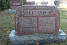 Filename=Bechard2C_Alf_etal.jpg
Filesize=200KiB
Dimensions=1024x683
Date added=May 28, 2014 Bechard2C_Alf_etal.jpg