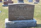 Filename=Bechard2C_H_Nar_etal.jpg
Filesize=186KiB
Dimensions=1024x683
Date added=Jul 27, 2014 Bechard2C_H_Nar_etal.jpg