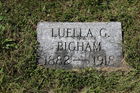 Bigham2C_Lu.jpg