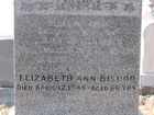 Bishop2C_Elizabeth_Ann___Eliza_Ann___John___Bruce.jpg