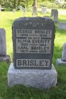 Filename=Brisley2C_Geo.jpg
Filesize=99KiB
Dimensions=512x768
Date added=Aug 13, 2014 Brisley2C_Geo.jpg