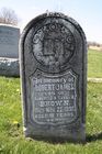 Filename=Brown2C_R_J_28229.jpg
Filesize=101KiB
Dimensions=512x768
Date added=Apr 21, 2012 Brown2C_R_J_28229.jpg