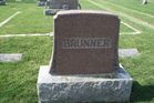 Filename=Brunner.jpg
Filesize=208KiB
Dimensions=1024x683
Date added=Mar 31, 2012 Brunner.jpg