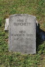 Filename=Burchett2C_E.jpg
Filesize=395KiB
Dimensions=400x600
Date added=Nov 08, 2014 Burchett2C_E.jpg