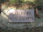 Filename=Burk2C_C_M_.jpg
Filesize=233KiB
Dimensions=1024x768
Date added=Feb 10, 2012 Burk2C_C_M_.jpg