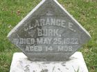 Burk2C_Cl_E.jpg