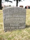 Filename=Burk2C_Ethel_Beatrice___Sidney___Mary.jpg
Filesize=133KiB
Dimensions=576x768
Date added=Feb 10, 2012 Burk2C_Ethel_Beatrice___Sidney___Mary.jpg