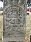 Filename=Burk2C_Mary___Solomon.jpg
Filesize=119KiB
Dimensions=576x768
Date added=Feb 10, 2012 Burk2C_Mary___Solomon.jpg