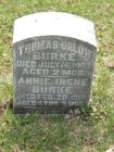 Filename=Burke2C_Th_Or___An.jpg
Filesize=121KiB
Dimensions=576x768
Date added=Oct 31, 2012 Burke2C_Th_Or___An.jpg