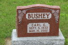 Bushey2C_Ca.jpg