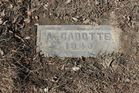 Filename=Cadotte2C_A.jpg
Filesize=259KiB
Dimensions=1024x683
Date added=Apr 24, 2014 Cadotte2C_A.jpg