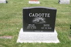 Filename=Cadotte2C_Wa.jpg
Filesize=334KiB
Dimensions=600x400
Date added=Feb 23, 2015 Cadotte2C_Wa.jpg