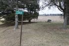 Filename=Campbell_Burying_Ground_2.jpg
Filesize=202KiB
Dimensions=1024x683
Date added=Feb 05, 2012 Campbell_Burying_Ground_2.jpg