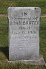 Filename=Carter2C_Dora.jpg
Filesize=90KiB
Dimensions=512x768
Date added=Sep 02, 2013 Carter2C_Dora.jpg