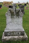 Filename=Casey2C_El.jpg
Filesize=181KiB
Dimensions=300x450
Date added=Oct 19, 2014 Casey2C_El.jpg