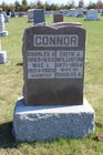 Filename=Connor2C_Ch.jpg
Filesize=336KiB
Dimensions=400x600
Date added=May 04, 2015 Connor2C_Ch.jpg