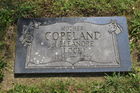 Filename=Copeland2C_H.jpg
Filesize=392KiB
Dimensions=600x400
Date added=Jan 03, 2016 Copeland2C_H.jpg