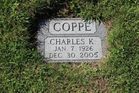 Filename=Coppe2C_Cha.jpg
Filesize=267KiB
Dimensions=1024x683
Date added=Oct 14, 2013 Coppe2C_Cha.jpg