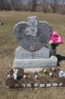 Filename=Cowell2C_Ba.jpg
Filesize=118KiB
Dimensions=512x768
Date added=Apr 24, 2014 Cowell2C_Ba.jpg