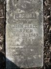 Filename=Cragg2C_Lucinda___John.jpg
Filesize=114KiB
Dimensions=576x768
Date added=Jan 14, 2012 Cragg2C_Lucinda___John.jpg