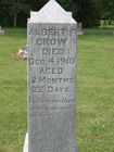Filename=Crow2C_Albert_F_.jpg
Filesize=83KiB
Dimensions=576x768
Date added=May 13, 2012 Crow2C_Albert_F_.jpg