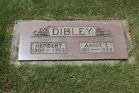 Dibley2C_He.jpg