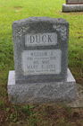 Duck2C_Wi.JPG