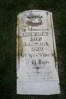 Filename=Eglin2C_Adam.jpg
Filesize=70KiB
Dimensions=512x768
Date added=Apr 10, 2012 Eglin2C_Adam.jpg