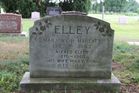 Filename=Elley2C_Alf.jpg
Filesize=128KiB
Dimensions=1024x683
Date added=Jul 30, 2013 Elley2C_Alf.jpg
