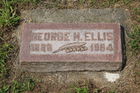 Ellis2C_Ge.jpg