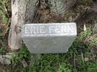 Filename=Erie_Fern.jpg
Filesize=151KiB
Dimensions=1024x768
Date added=Feb 23, 2012 Erie_Fern.jpg