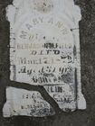 Filename=Field2C_Mary_Ann___Benjamin____Franklin.jpg
Filesize=80KiB
Dimensions=576x768
Date added=Feb 24, 2012 Field2C_Mary_Ann___Benjamin____Franklin.jpg