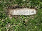 Filename=Flossie.jpg
Filesize=292KiB
Dimensions=1024x768
Date added=Feb 23, 2012 Flossie.jpg