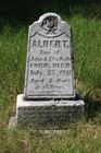 Filename=Ford2C_Al.jpg
Filesize=102KiB
Dimensions=512x768
Date added=Aug 15, 2014 Ford2C_Al.jpg