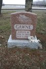 Gawne2C_Ev.jpg