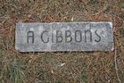 Filename=Gibbons2C_A.jpg
Filesize=277KiB
Dimensions=1024x683
Date added=Mar 29, 2014 Gibbons2C_A.jpg