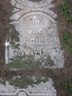 Filename=Gibson2C_S_P.JPG
Filesize=141KiB
Dimensions=480x640
Date added=Jan 23, 2012 Gibson2C_S_P.JPG
