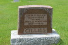 Filename=Gillies2C_Co.jpg
Filesize=347KiB
Dimensions=600x400
Date added=Sep 04, 2015 Gillies2C_Co.jpg