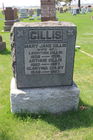 Gillis2C_Ma.jpg