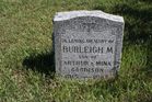 Goodison2C_Burl.jpg