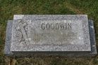 Filename=Goodwin2C_Ray.jpg
Filesize=217KiB
Dimensions=1024x683
Date added=Sep 09, 2014 Goodwin2C_Ray.jpg