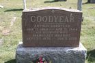 Filename=Goodyear2C_Art___Ma.jpg
Filesize=198KiB
Dimensions=1024x683
Date added=Aug 09, 2013 Goodyear2C_Art___Ma.jpg