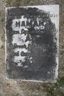 Filename=Haman2C_Ann.jpg
Filesize=104KiB
Dimensions=512x768
Date added=Aug 09, 2013 Haman2C_Ann.jpg